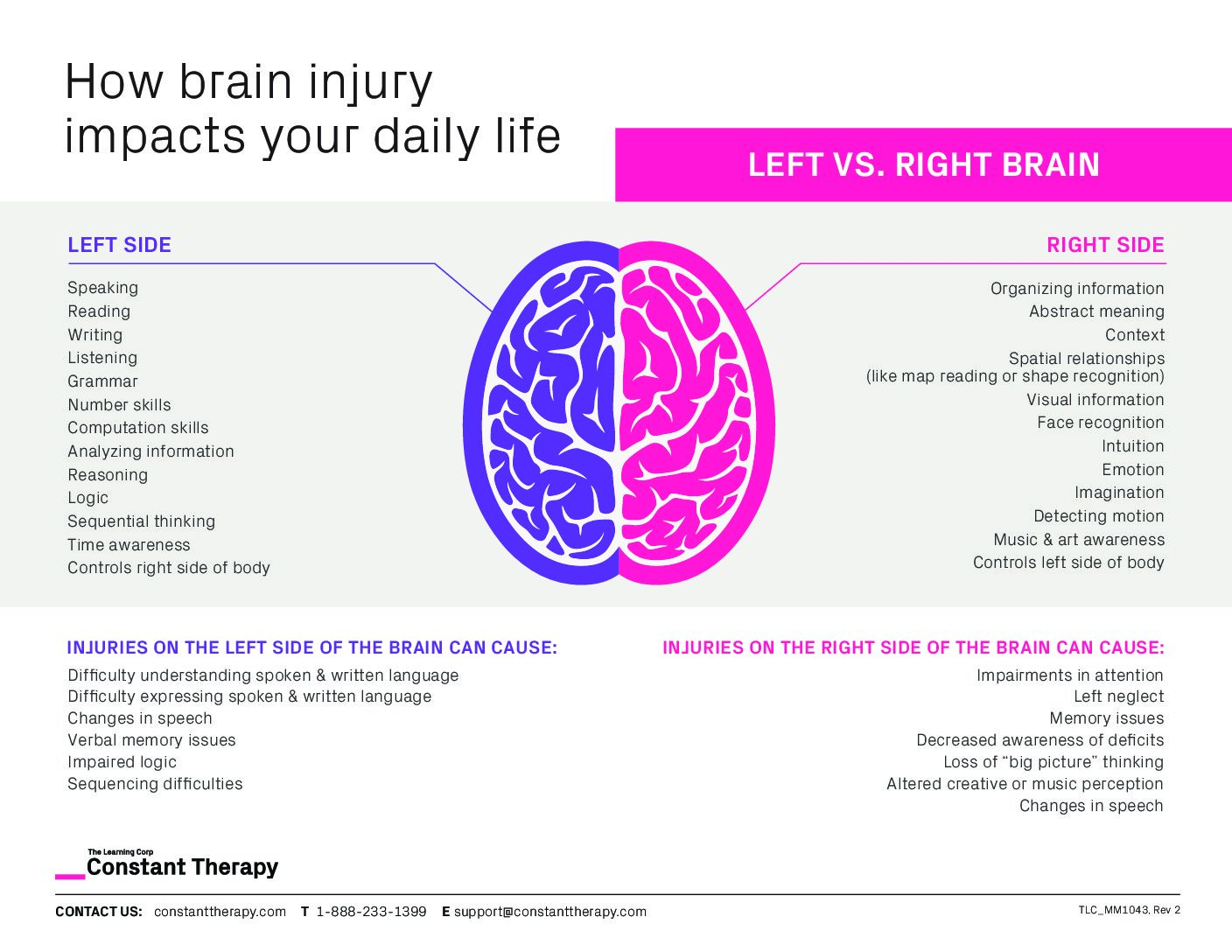 what does the right side of the brain control