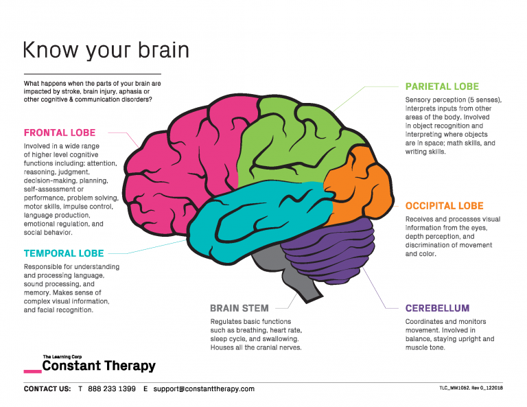 Helpful Resources For Your Practice | Constant Therapy